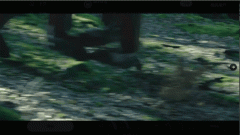 <b>虽然尚未供给明白的时间表或贸易可用性细节</b>