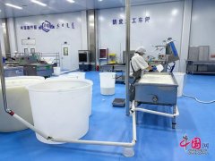 塑、糊口场景、物品的组合